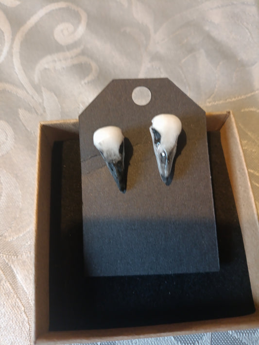 crow skull earrings